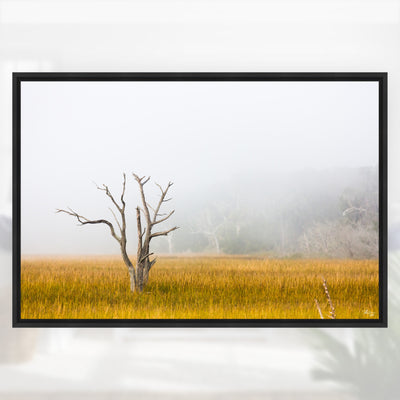 NV Deremer "Resolute" Canvas Print