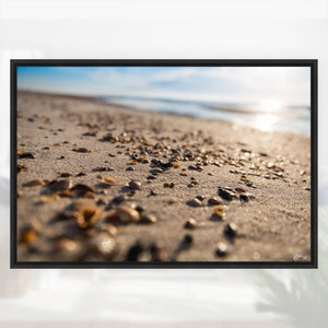 NV Deremer "Shelled" Canvas Print