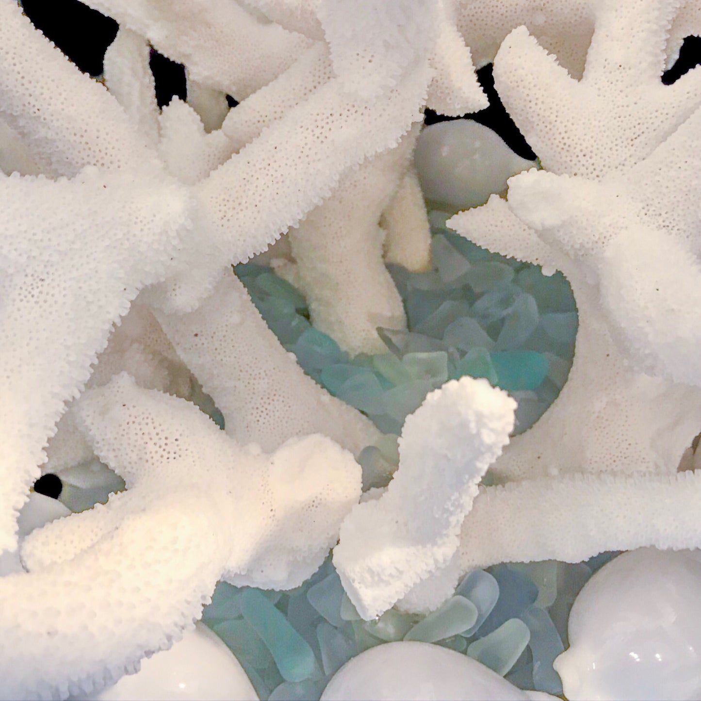 Isabella Adams Stag Horn Coral Centerpiece Featuring Swarovski © Crystals and Natural Seashells