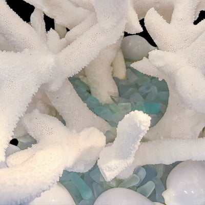 Isabella Adams Stag Horn Coral Centerpiece Featuring Swarovski © Crystals and Natural Seashells